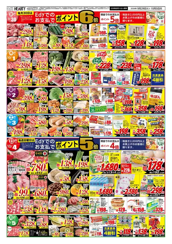 main_flyer image