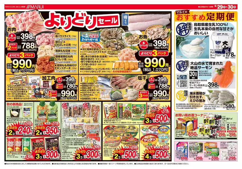 main_flyer image