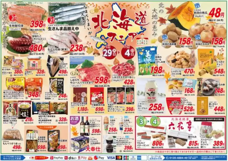 main_flyer image