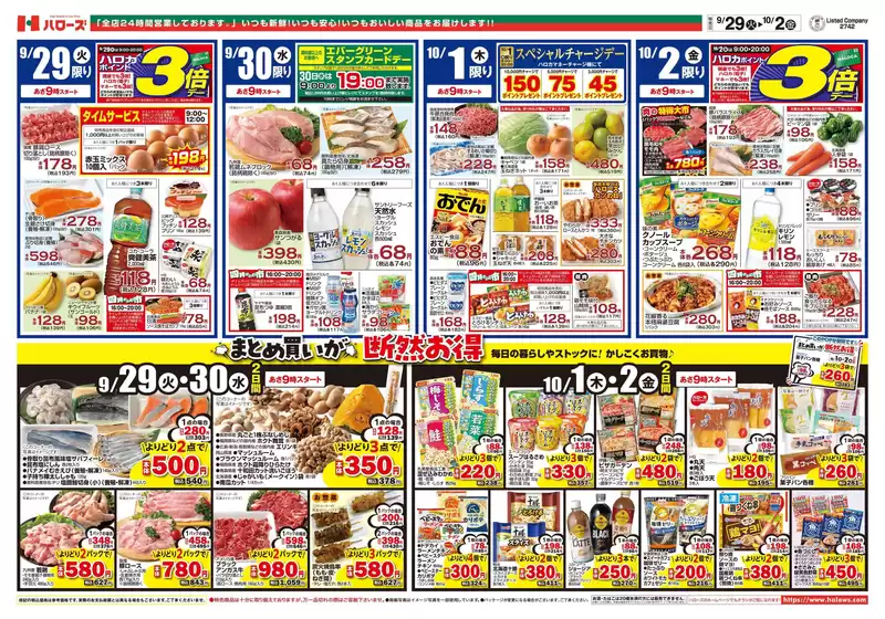 main_flyer image