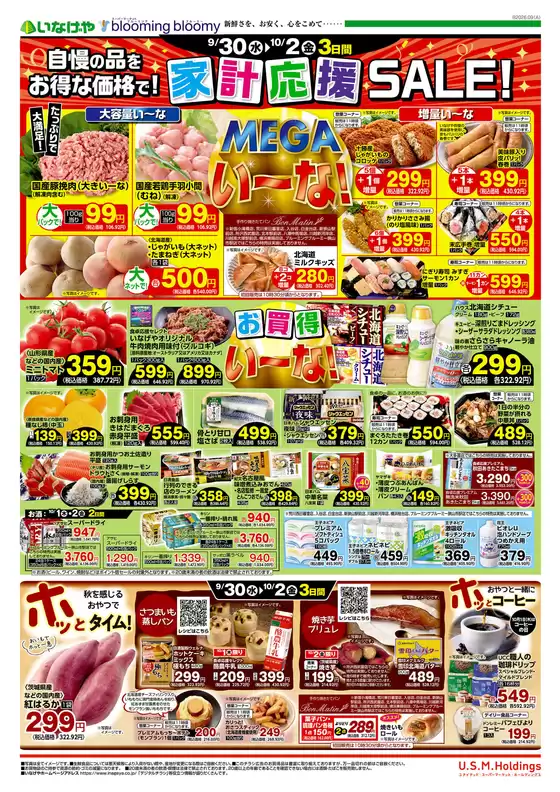 main_flyer image