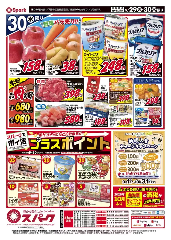 main_flyer image