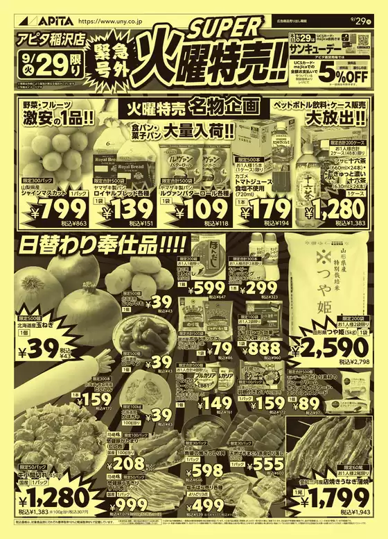 main_flyer image
