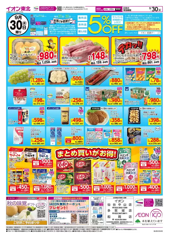 main_flyer image