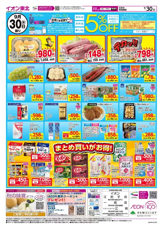 main_flyer image