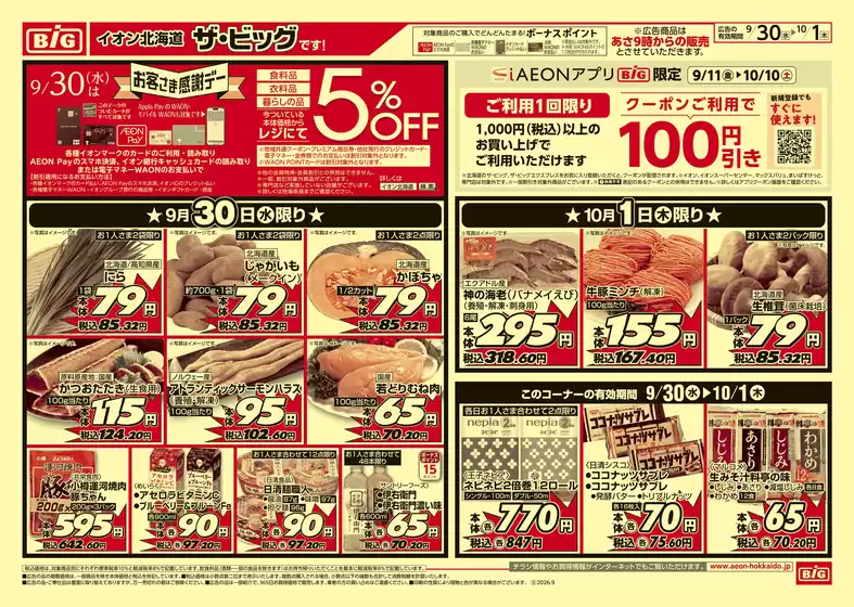 main_flyer image