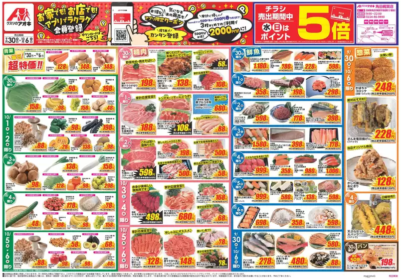 main_flyer image