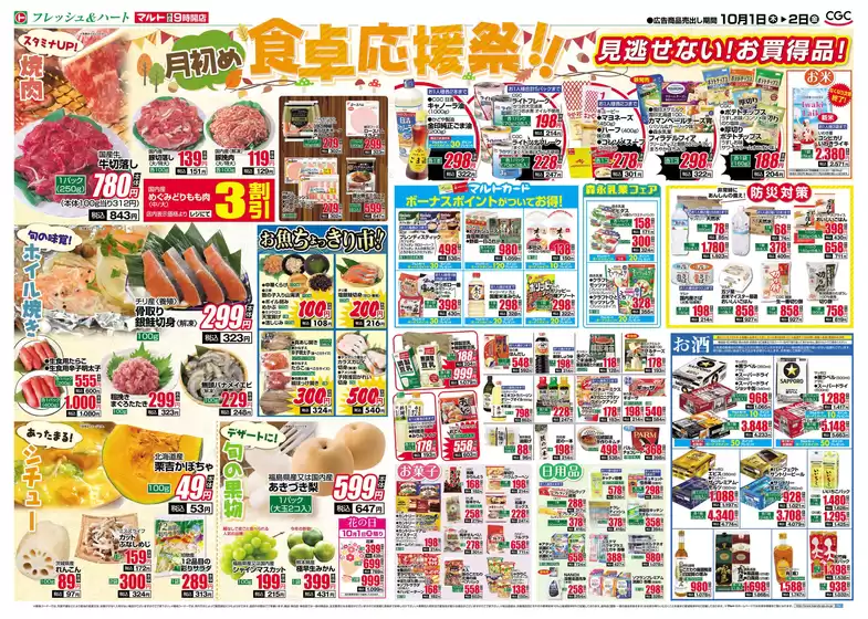 main_flyer image