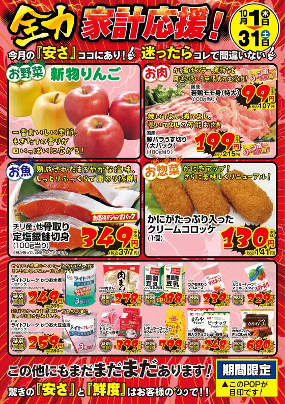 main_flyer image