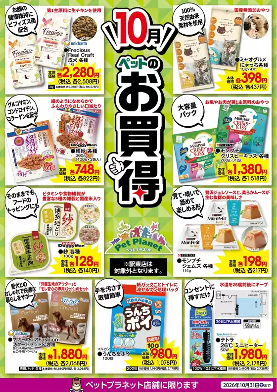 main_flyer image