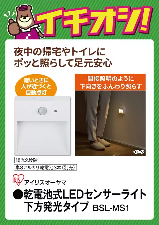 main_flyer image