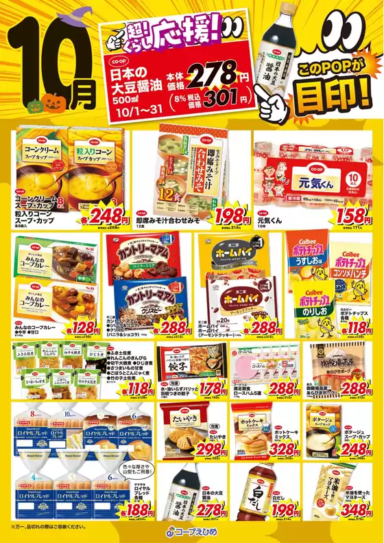 main_flyer image