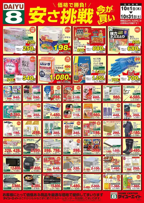 main_flyer image