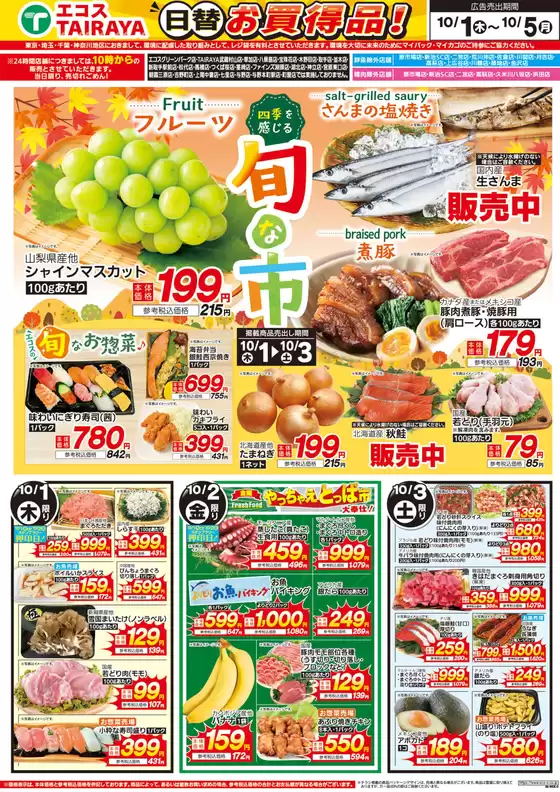 main_flyer image