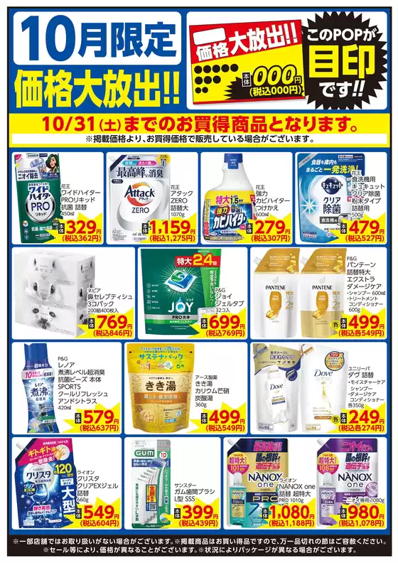 main_flyer image