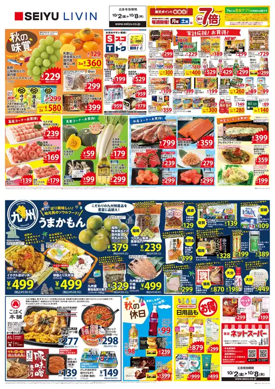 main_flyer image