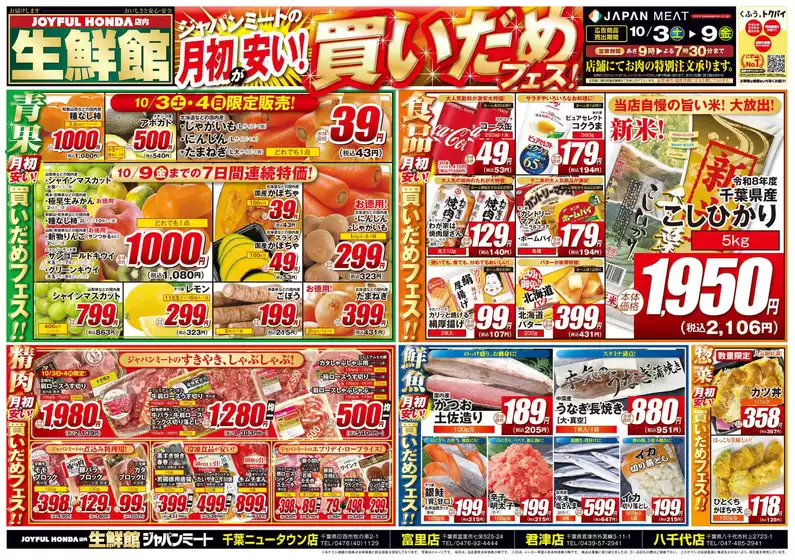 main_flyer image