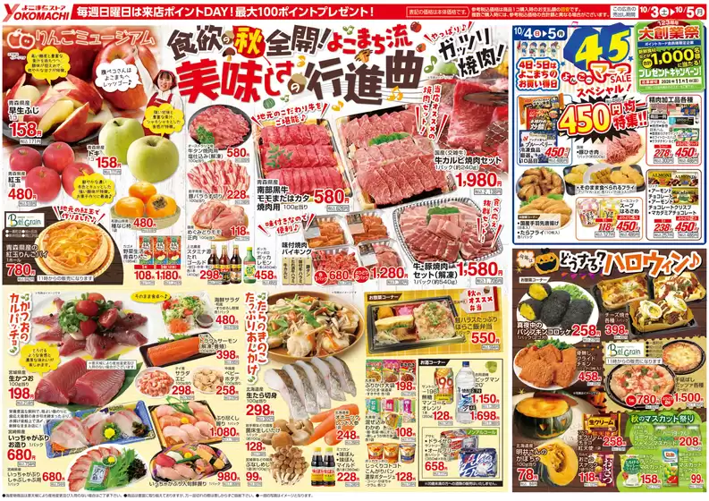 main_flyer image