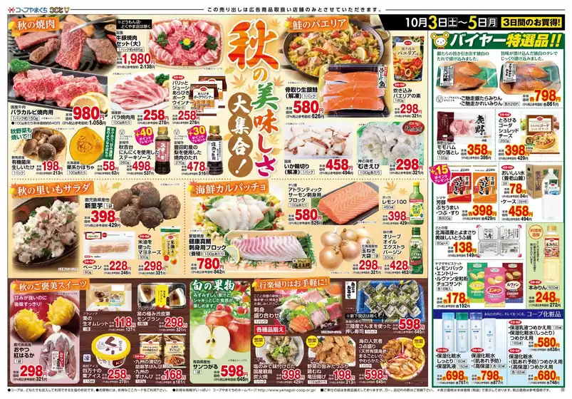 main_flyer image