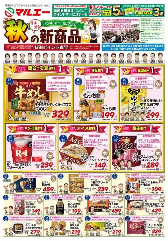 main_flyer image