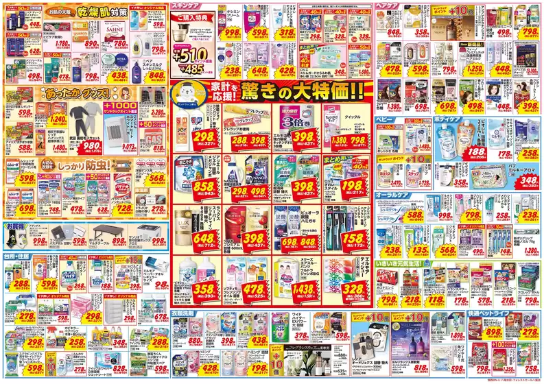 main_flyer image
