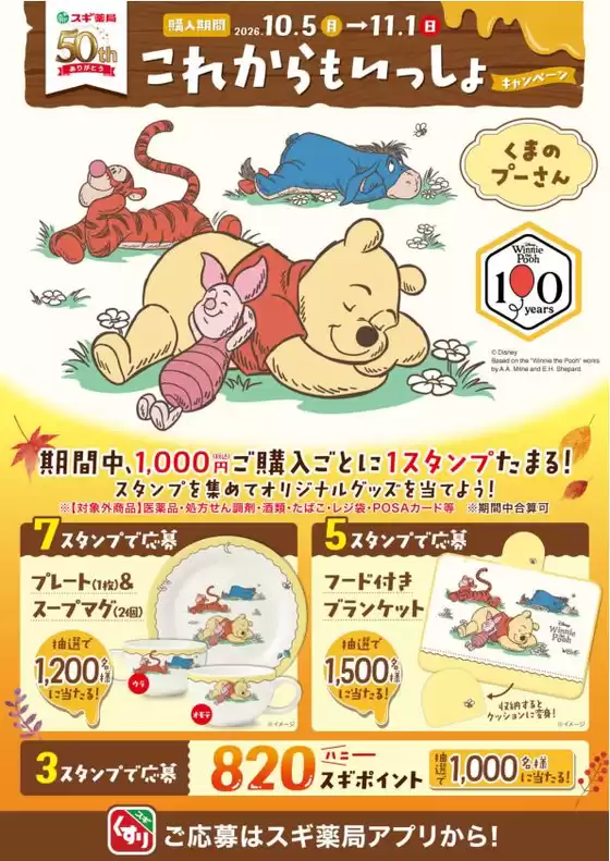 main_flyer image