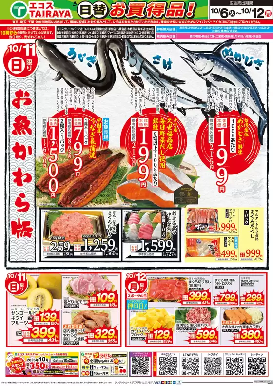 main_flyer image