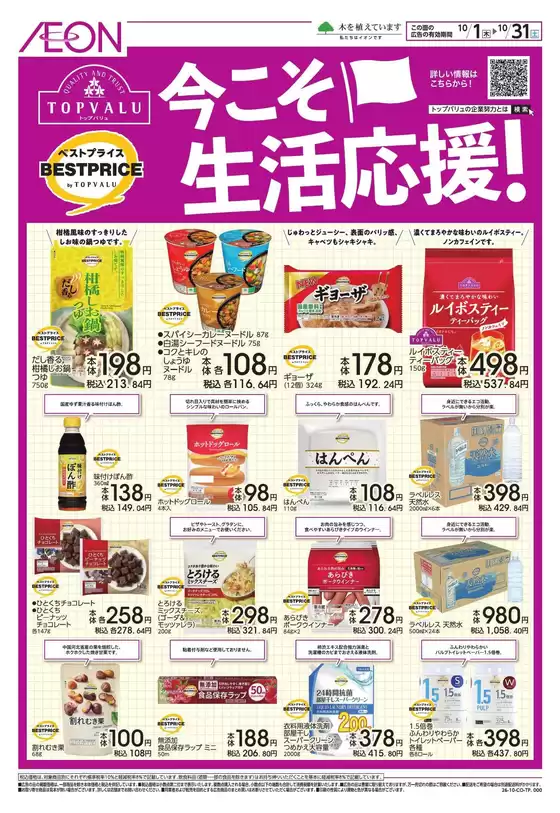 main_flyer image