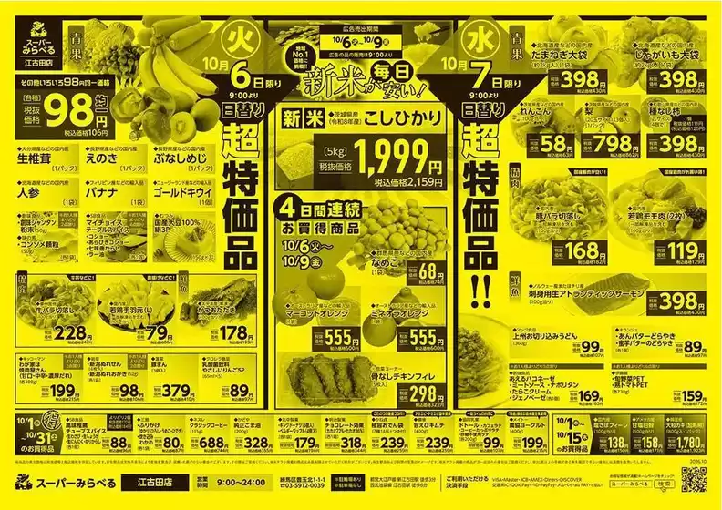 main_flyer image