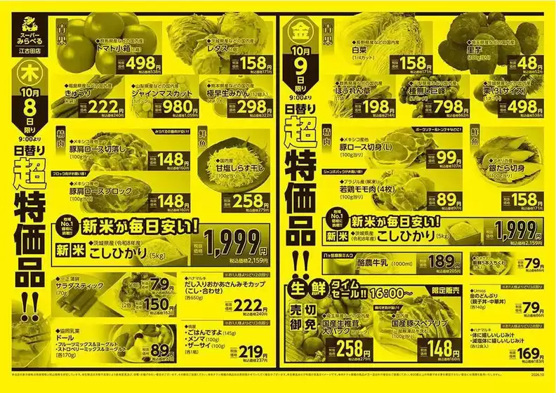 main_flyer image