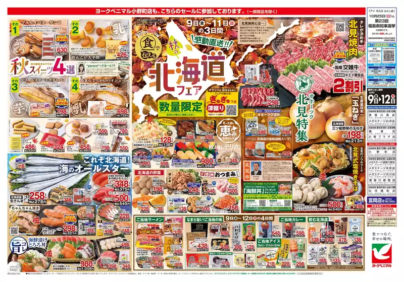 main_flyer image