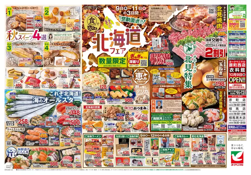 main_flyer image