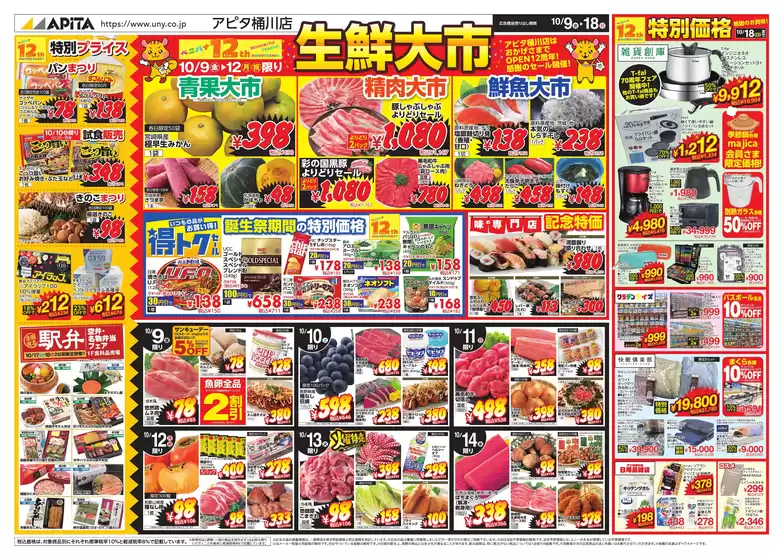 main_flyer image