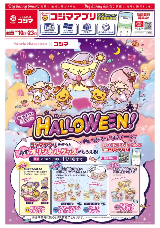 main_flyer image