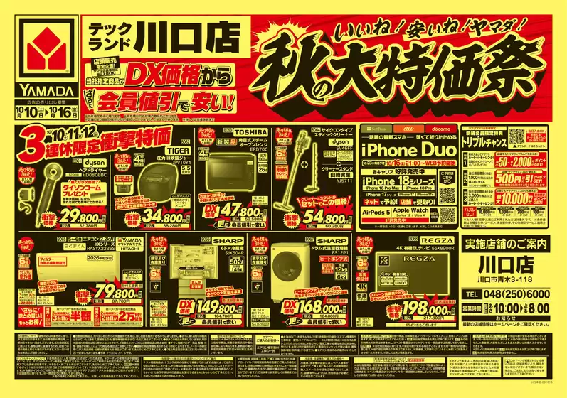 main_flyer image