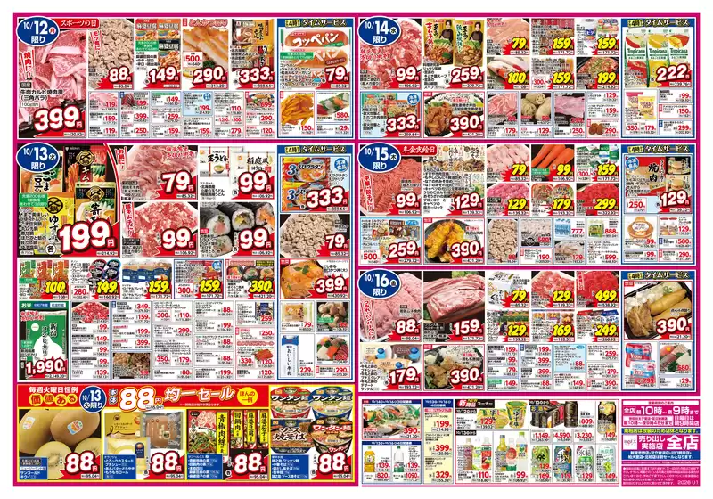 main_flyer image