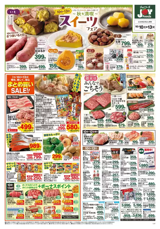 main_flyer image