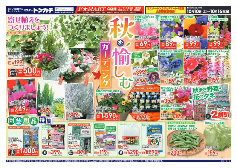 main_flyer image