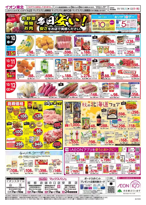 main_flyer image