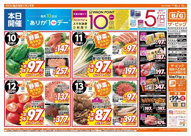 main_flyer image