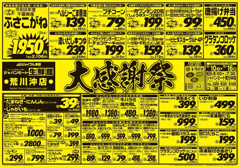 main_flyer image