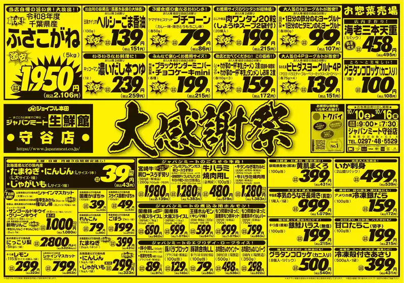 main_flyer image