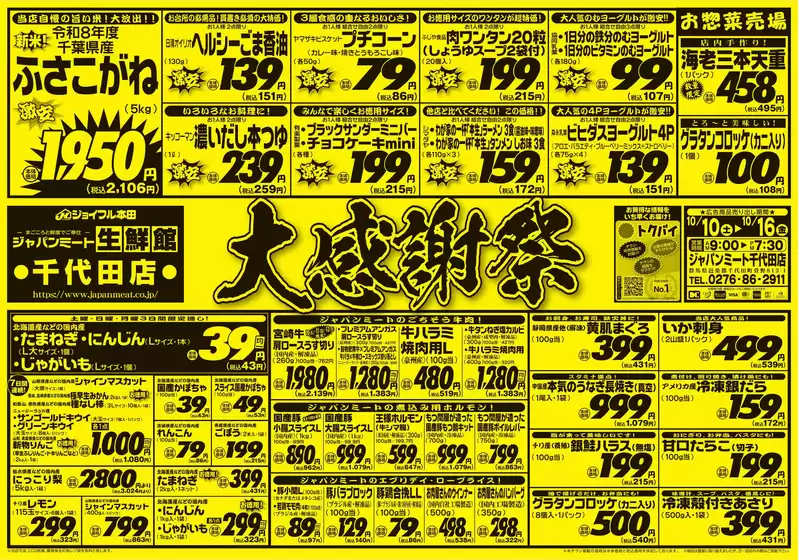 main_flyer image