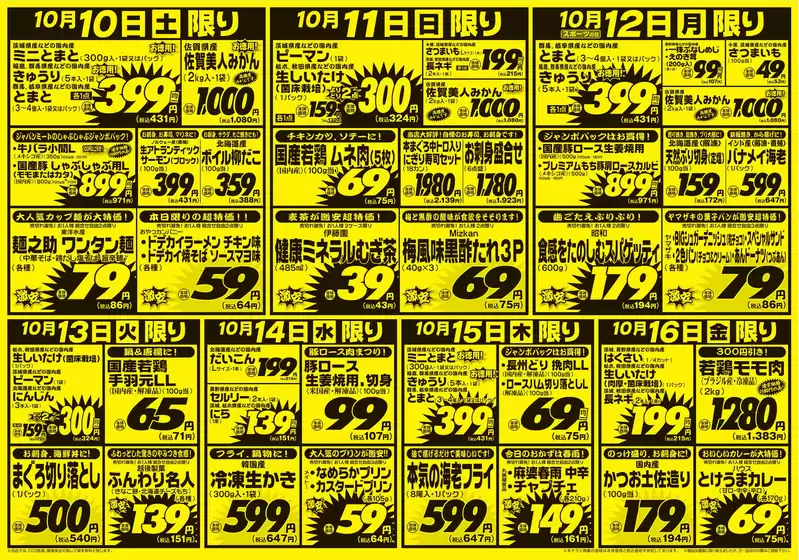 main_flyer image