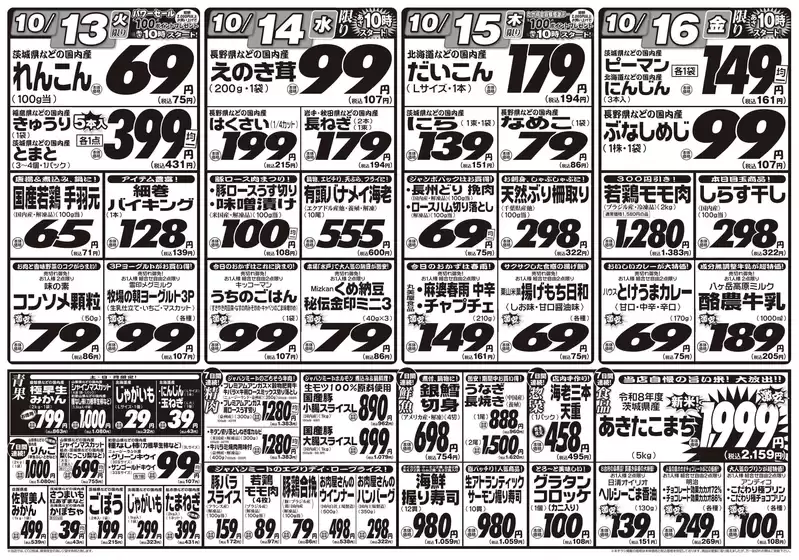 main_flyer image