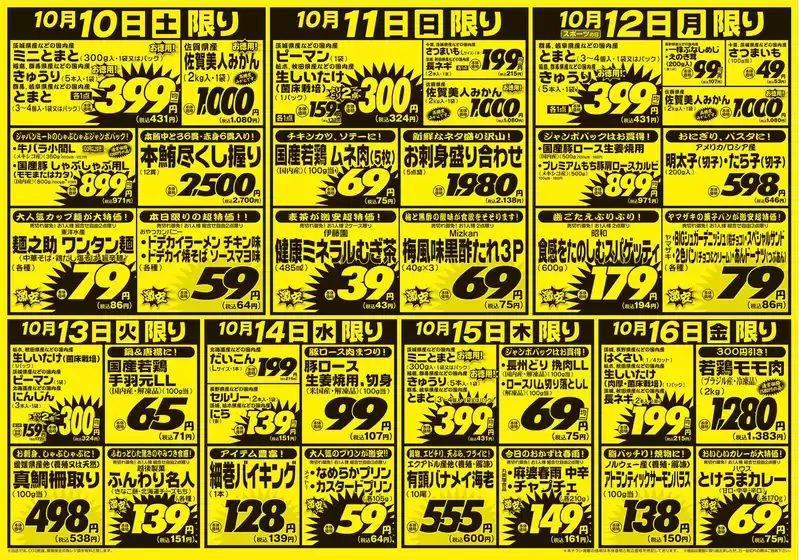 main_flyer image