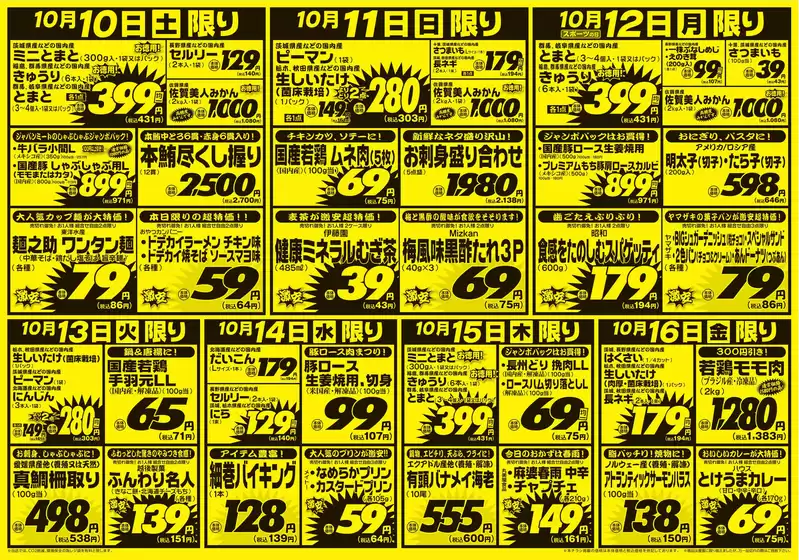 main_flyer image