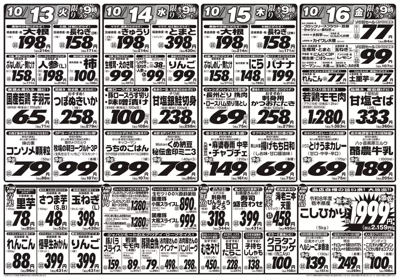 main_flyer image