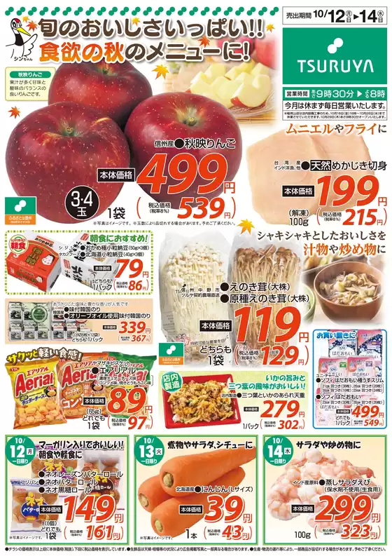 main_flyer image