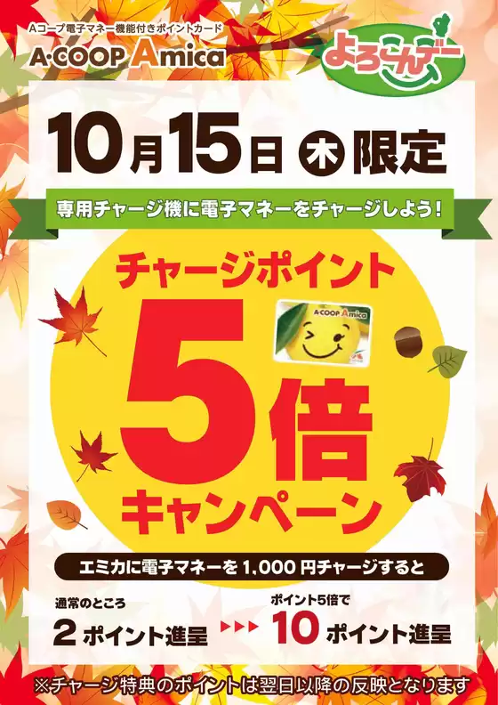 エーコープみやざきのカタログ | トップディールと割引 | 2026-10-15T00:00:00.000Z - 2026-10-15T00:00:00.000Z